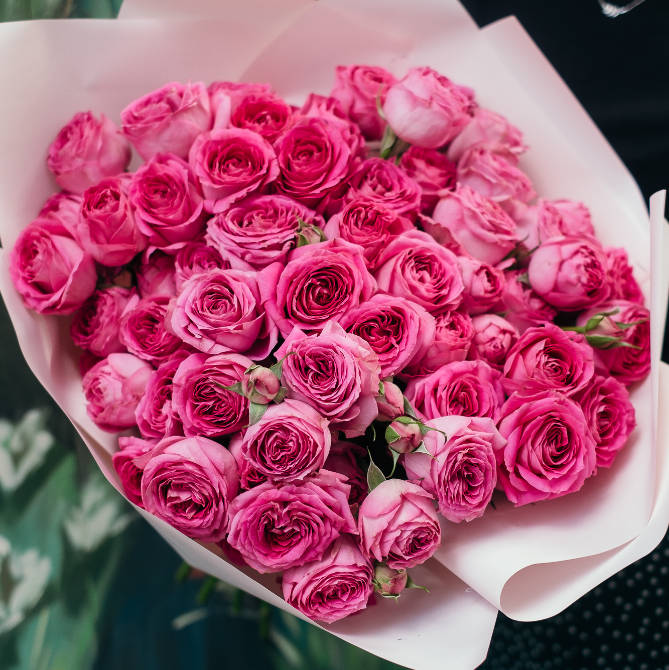 Ярко-розовая кустовая роза