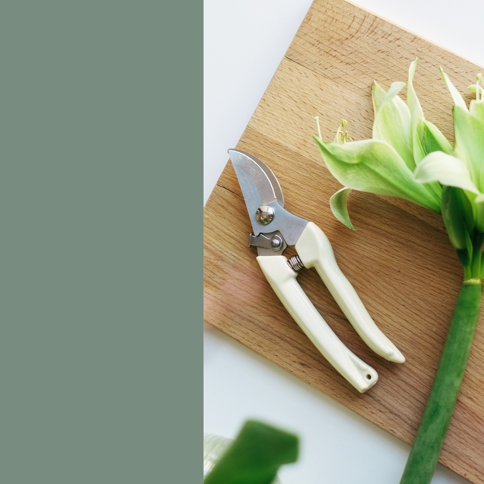 Сертификат на индивидуальный цветочный мастер-класс