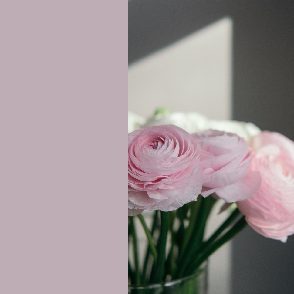 Сертификат на сумму