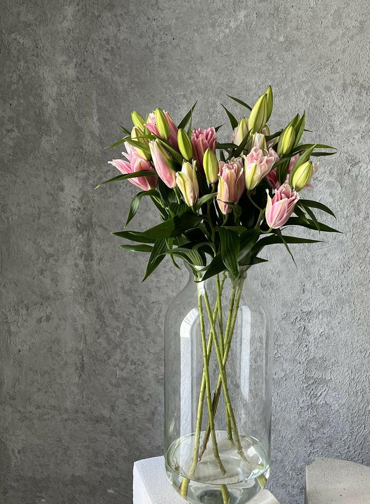 Лилия махровая