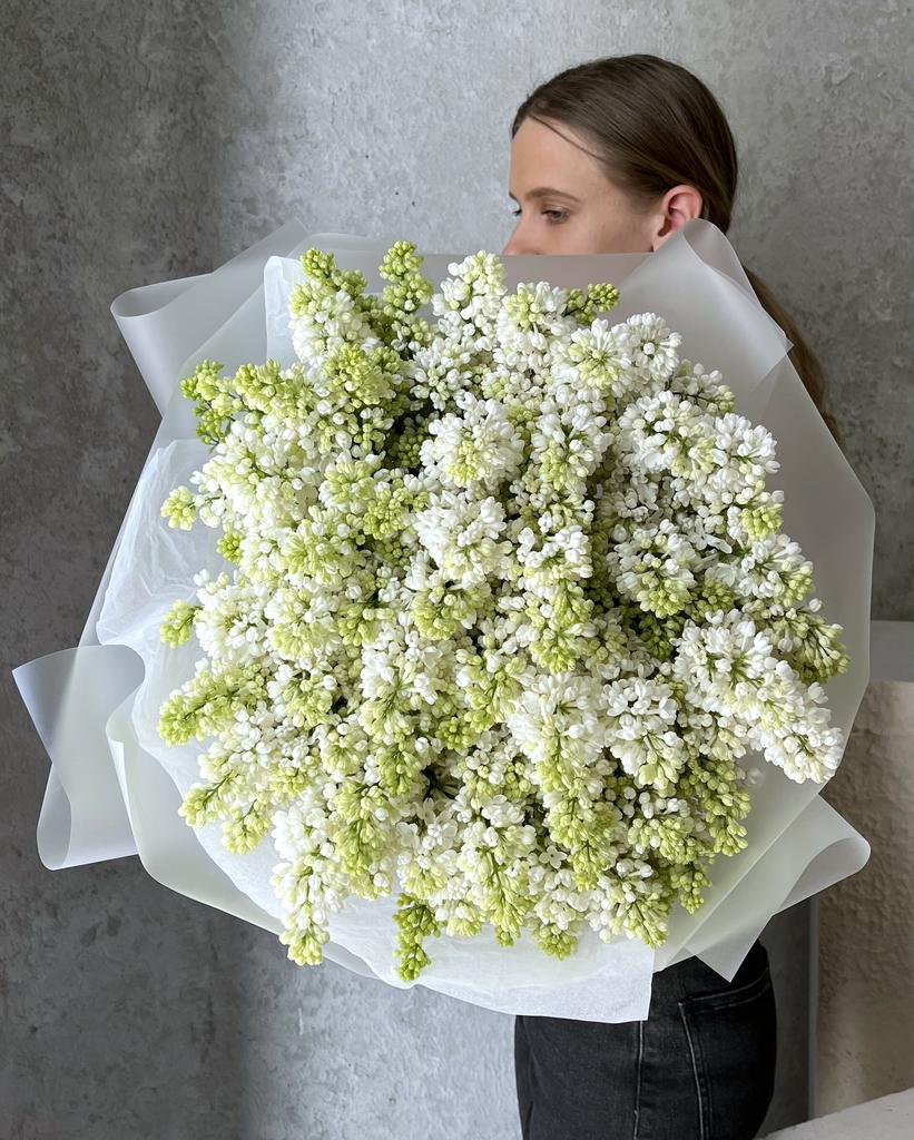 Белая сирень