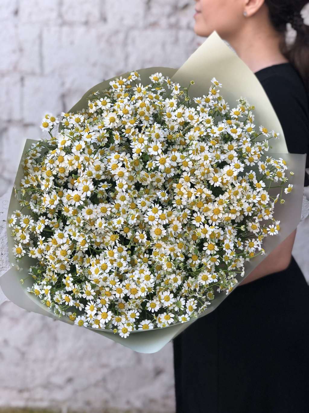 Ромашка кустовая