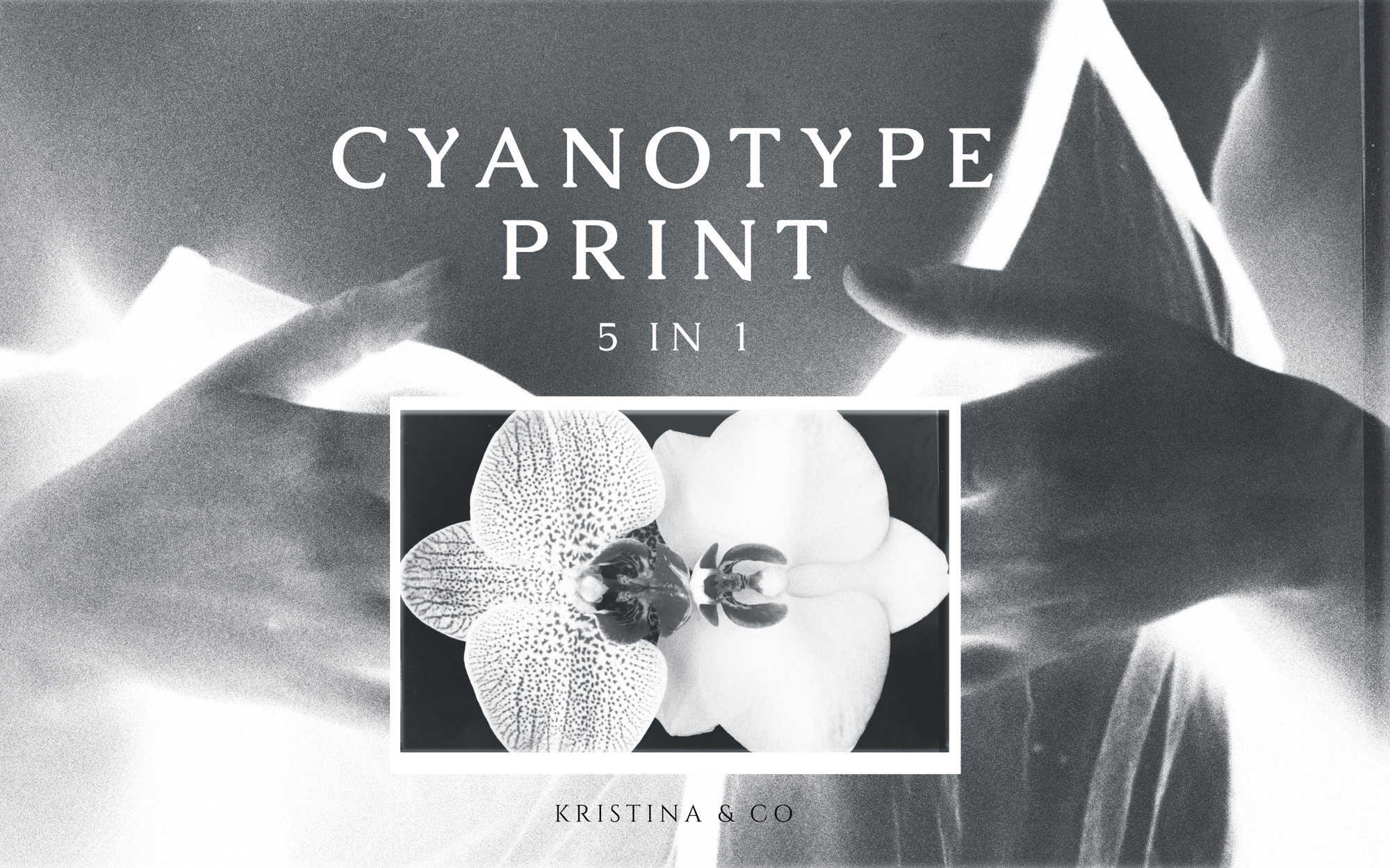 Cyanotype Print 5 in 1 styles