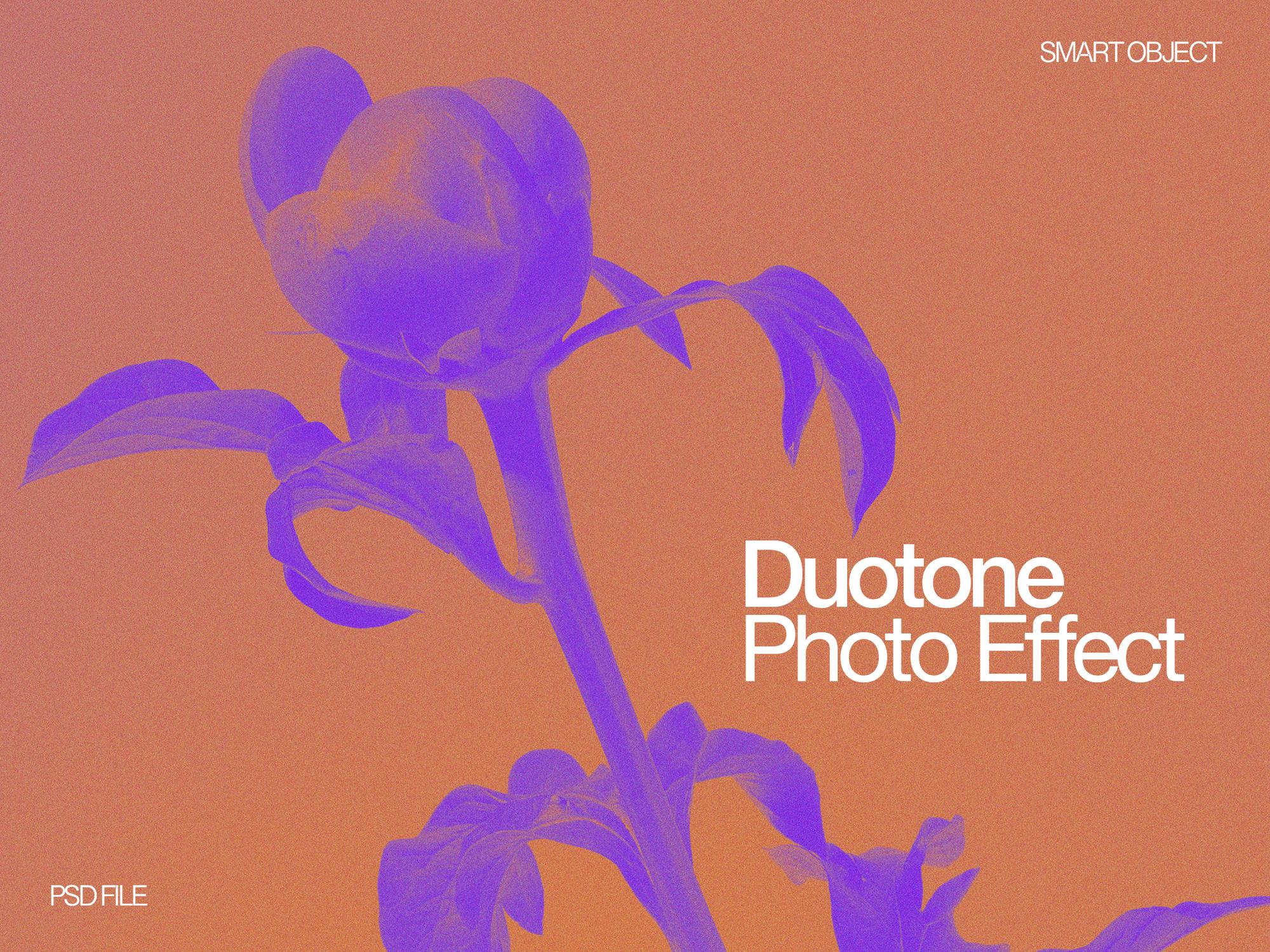 Duotone Photo Effect