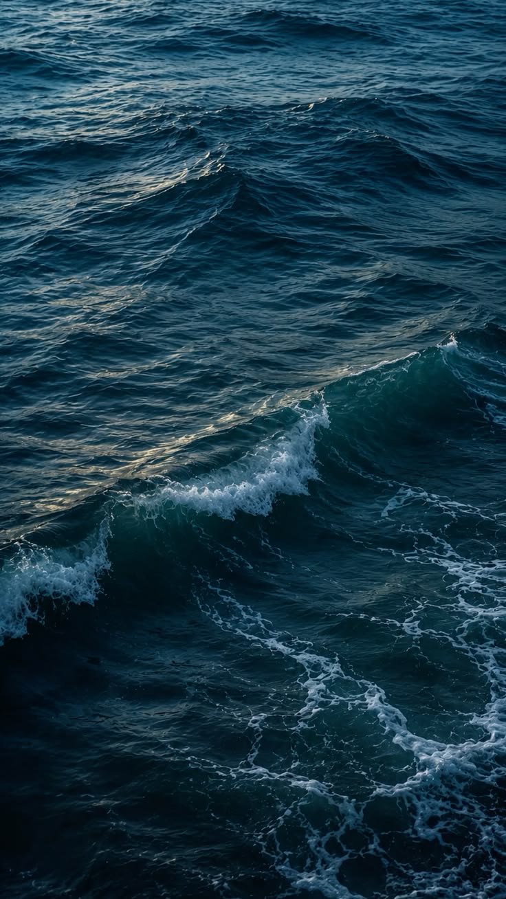 СЕТ ЗОВ МОРЯ