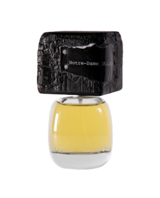 FILIPPO SORCINELLI  NOTRE DAME 15.4.2019