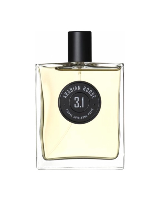 PIERRE GUILLAUME 3.1 ARABIAN HORSE