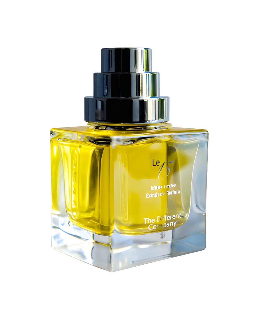 THE DIFFERENT COMPANY LE 15