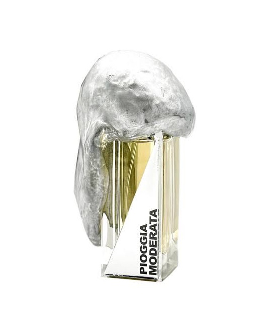 FILIPPO SORCINELLI PIOGGIA MODERATA