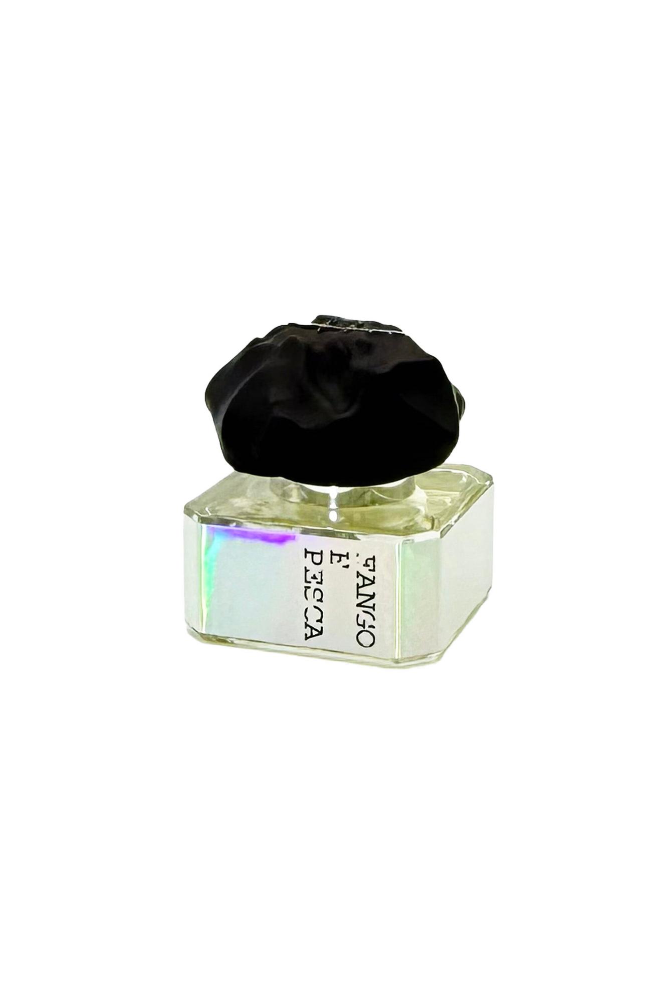 FILIPPO SORCINELLI FANGO E PESCA