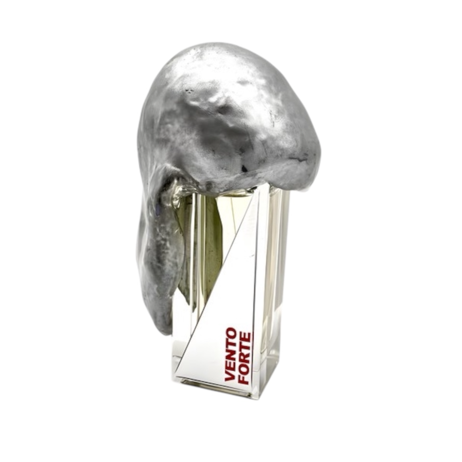 FILIPPO SORCINELLI VENTO FORTE