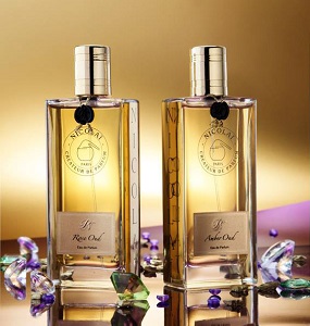 NICOLAI ОЗНАКОМИТЕЛЬНЫЙ СЕТ