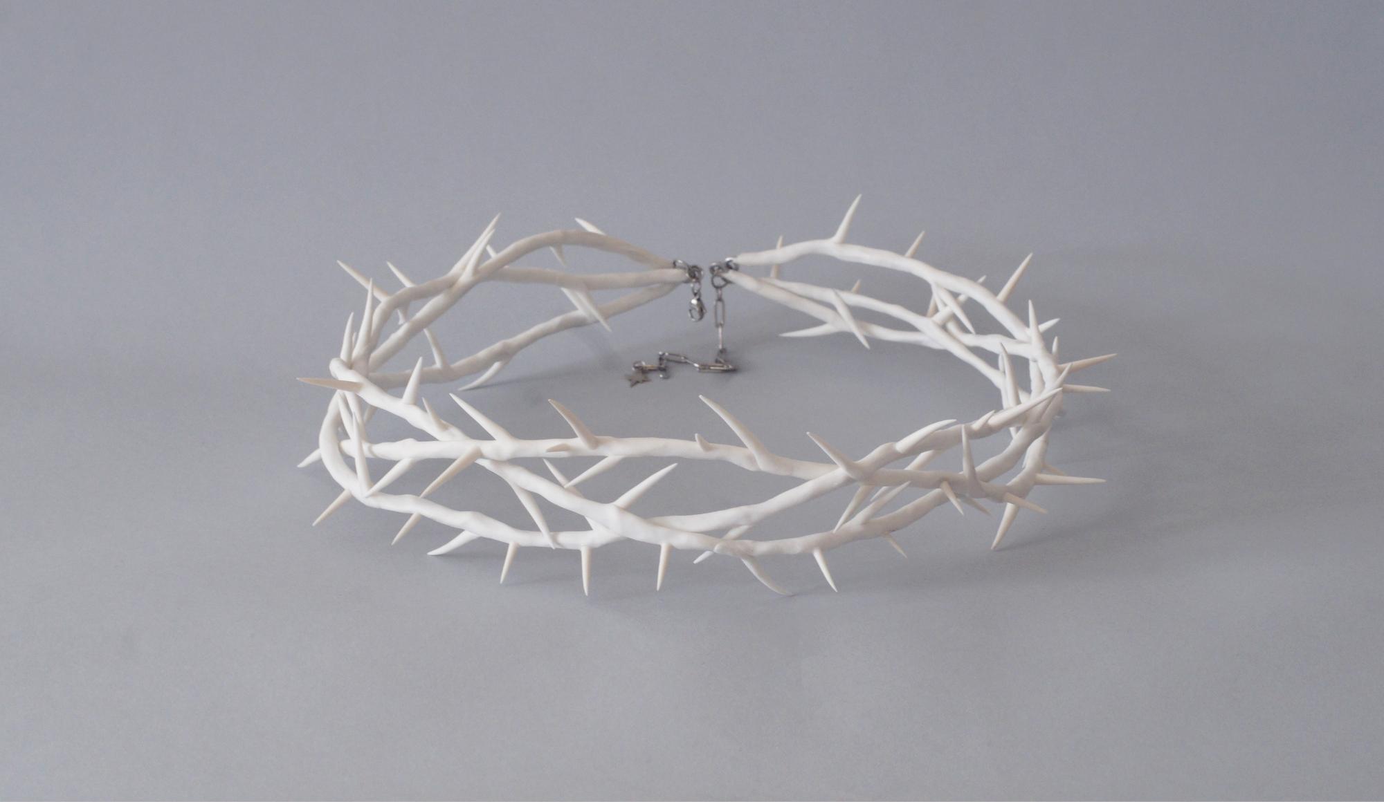 терновый венок белый