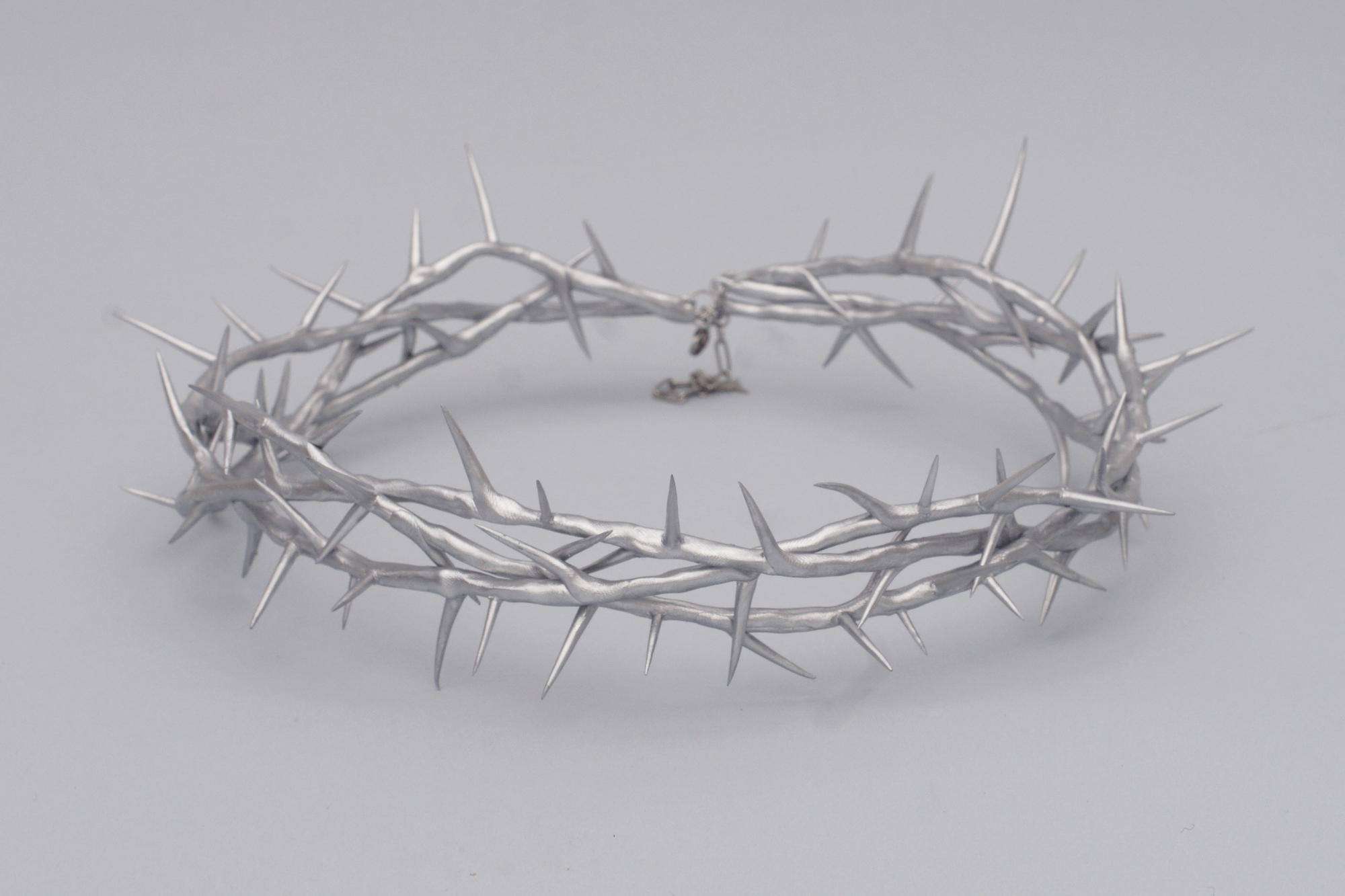 терновый венок серебристый