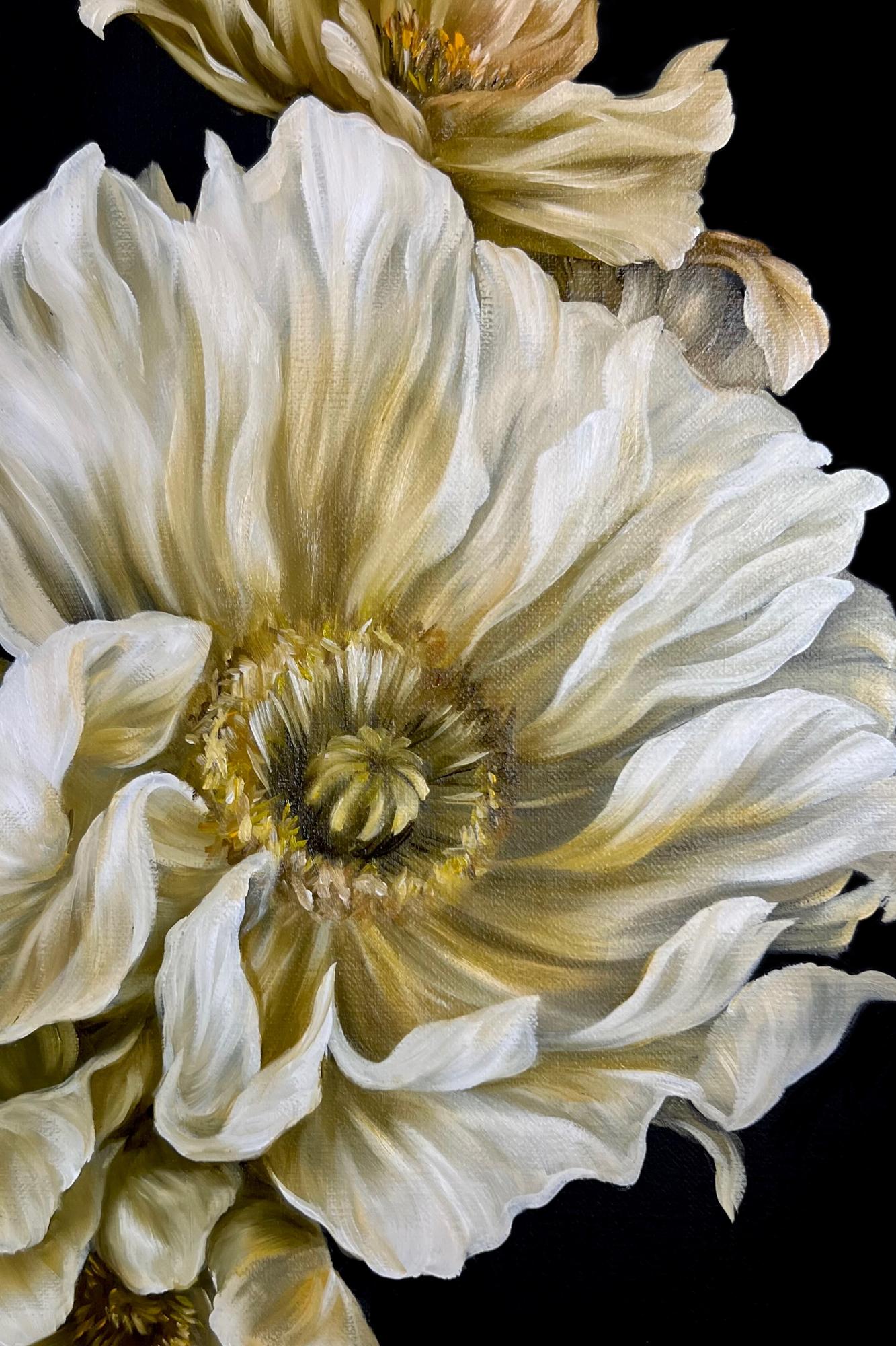 MOONLIGHT POPPIES II