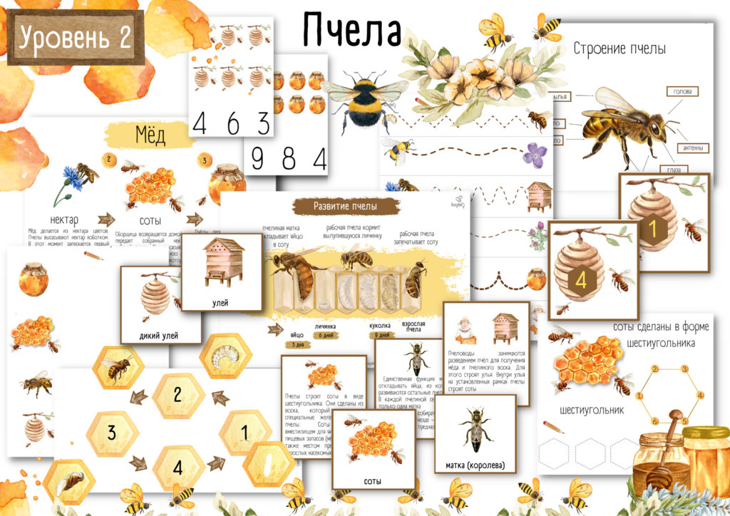 ПРОЕКТ "ПЧЁЛЫ"