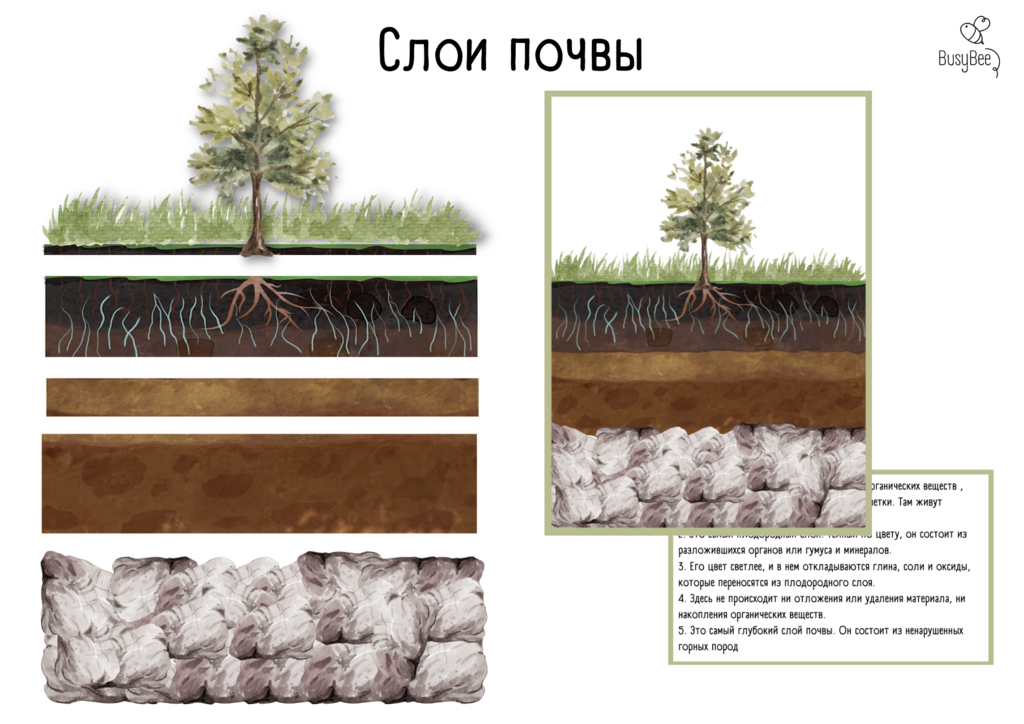 "СЛОИ ПОЧВЫ"
