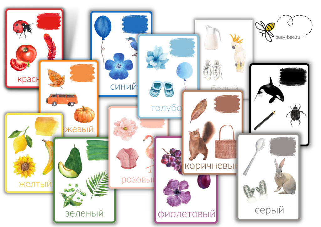 КАРТОЧКИ "ЦВЕТА"