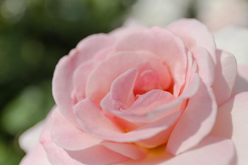 Тренинг Женственность