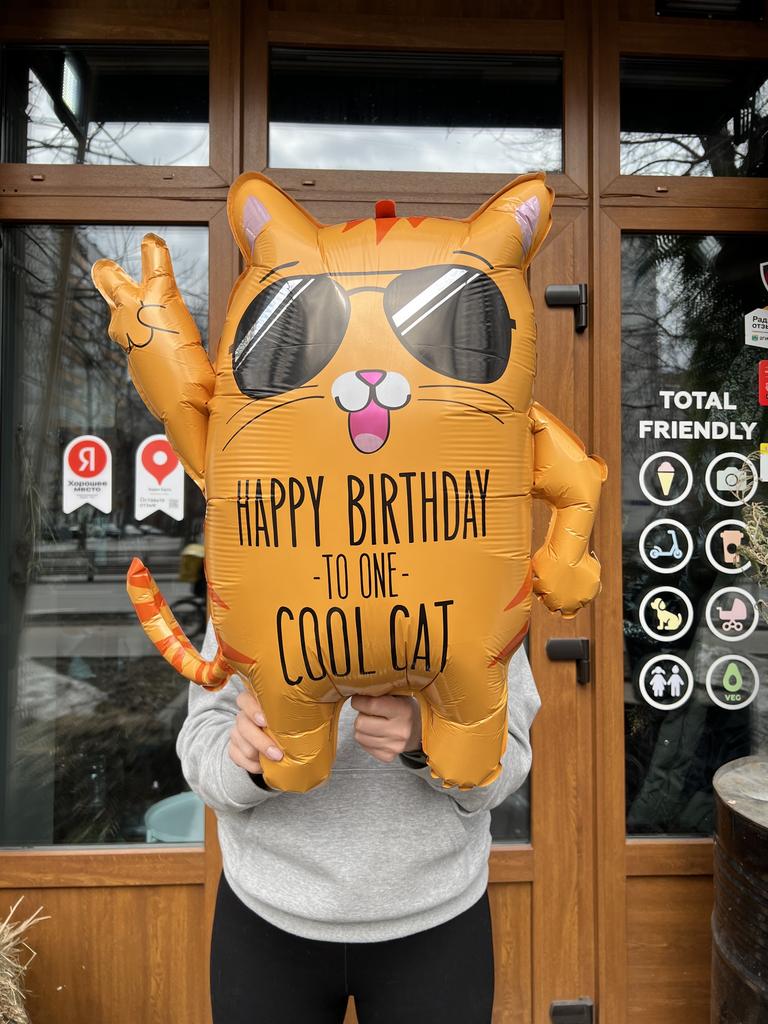 ВОЗДУШНЫЙ ШАР "COOL CAT BIRTHDAY"