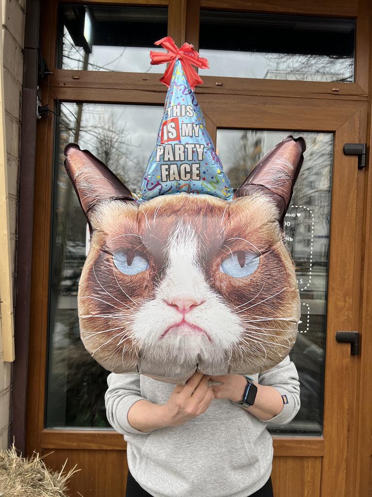 ВОЗДУШНЫЙ ШАР "УГРЮМЫЙ КОТ"