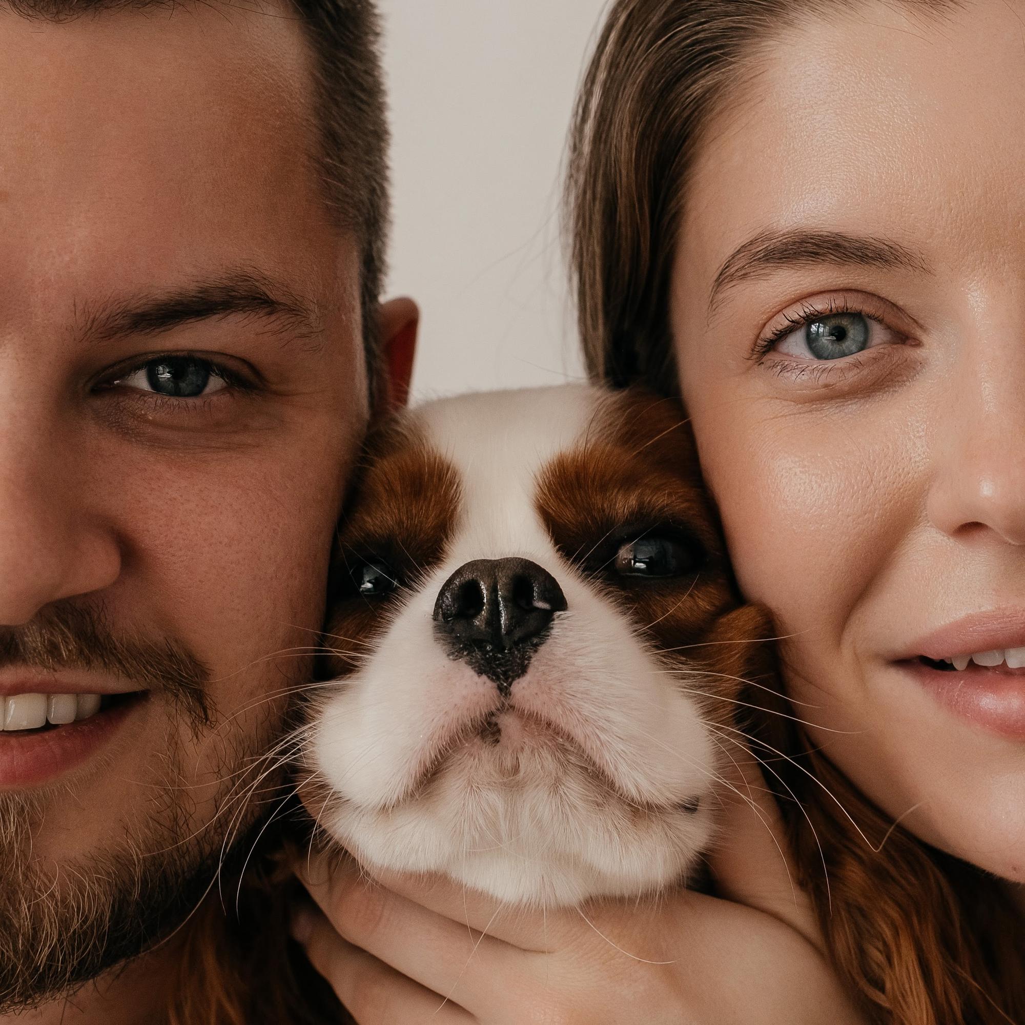 История для двоих