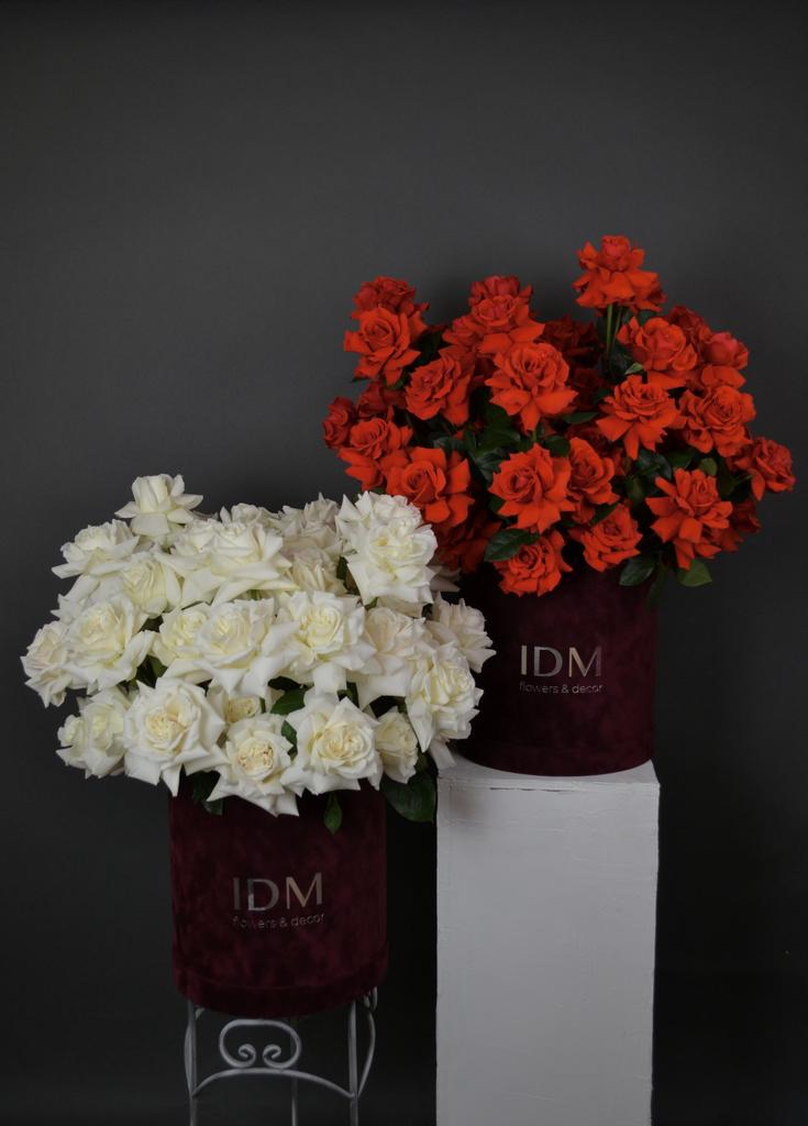 ‘Мулен Руж’