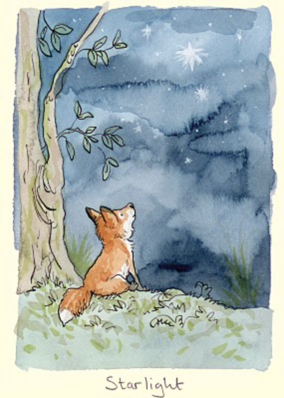 starlight