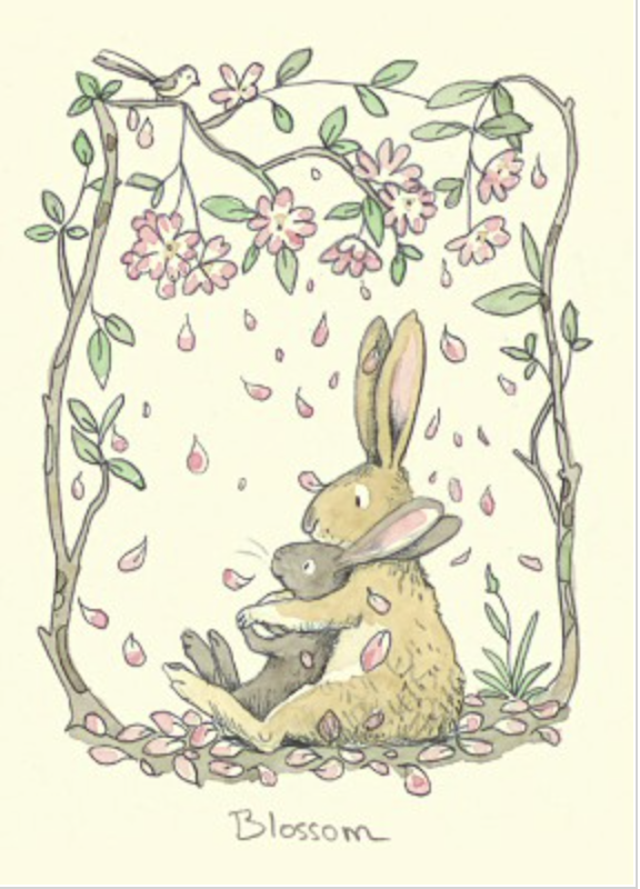 blossom