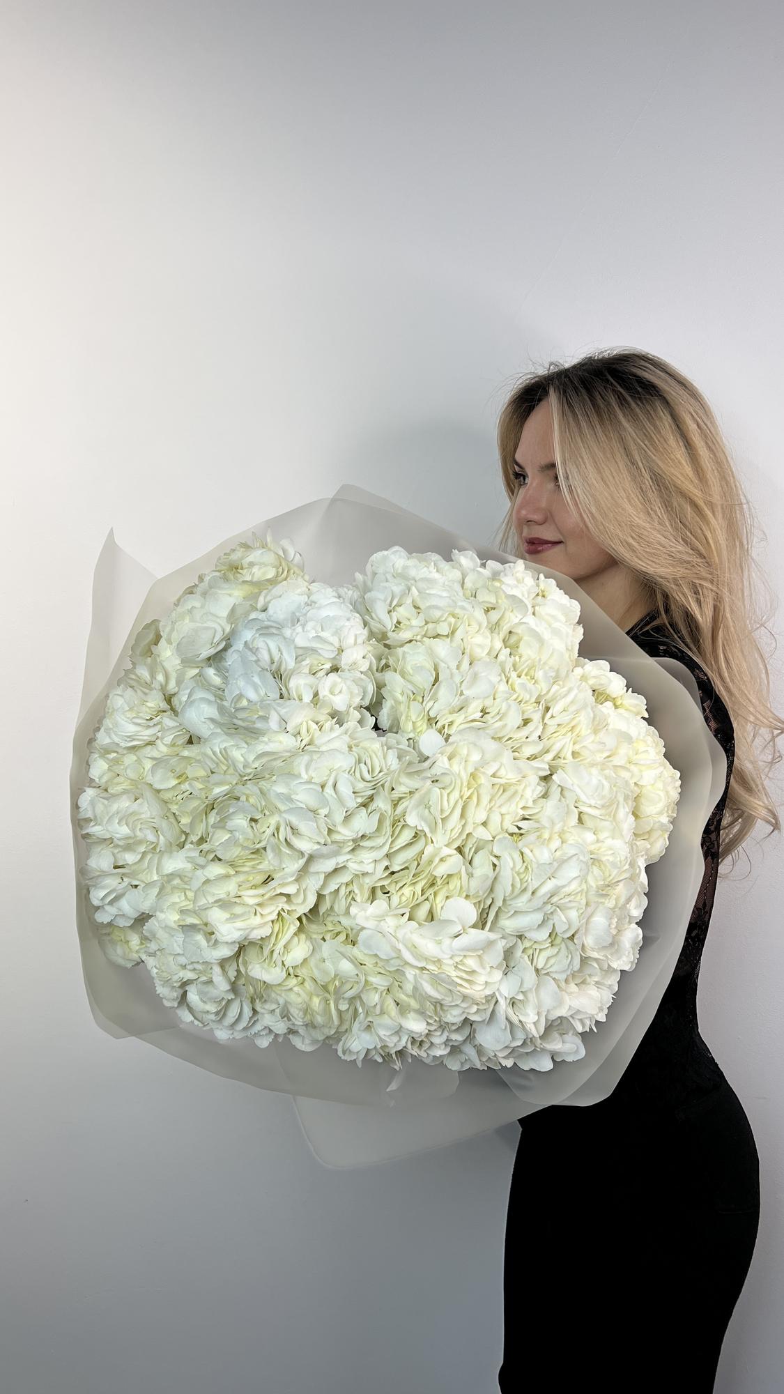 Дневная красавица