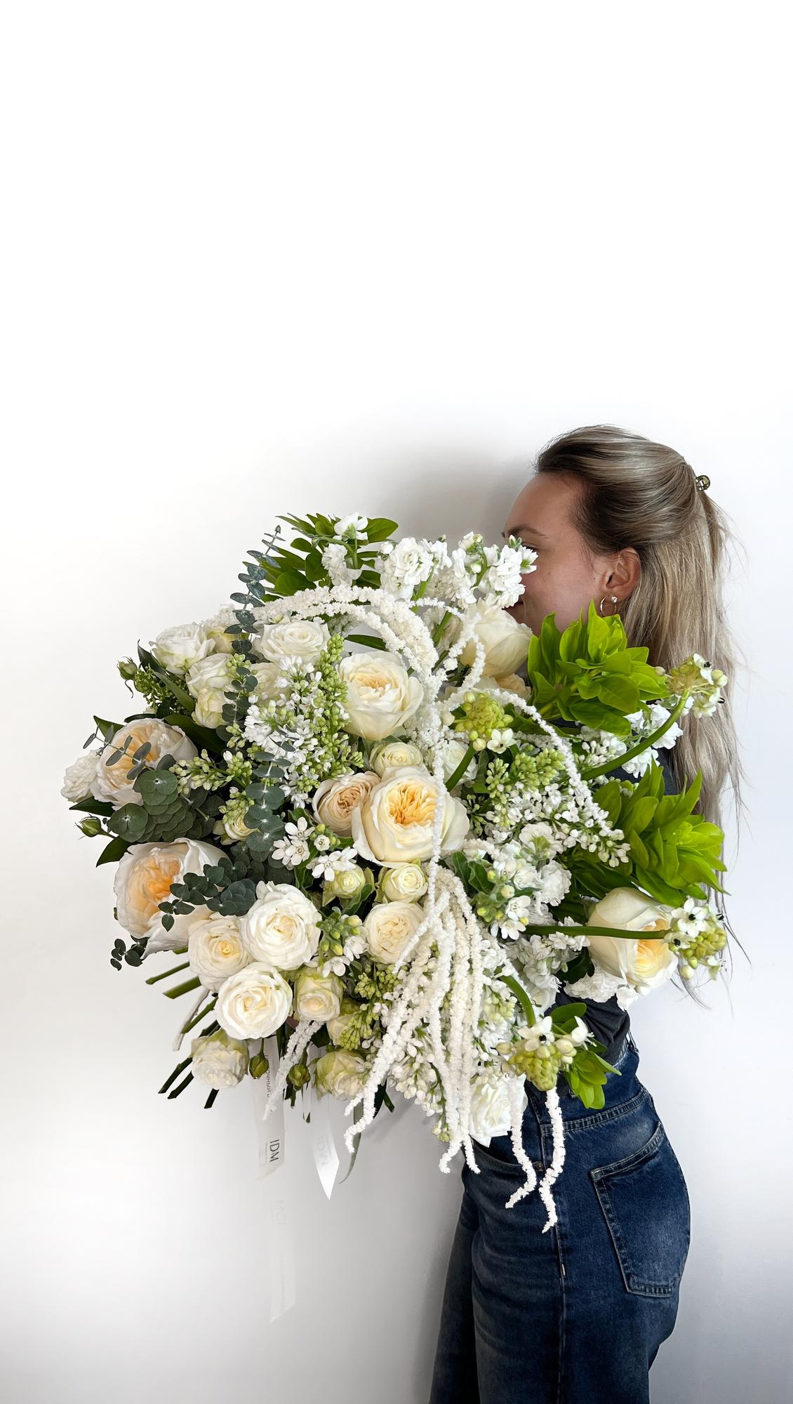 В поисках Немо