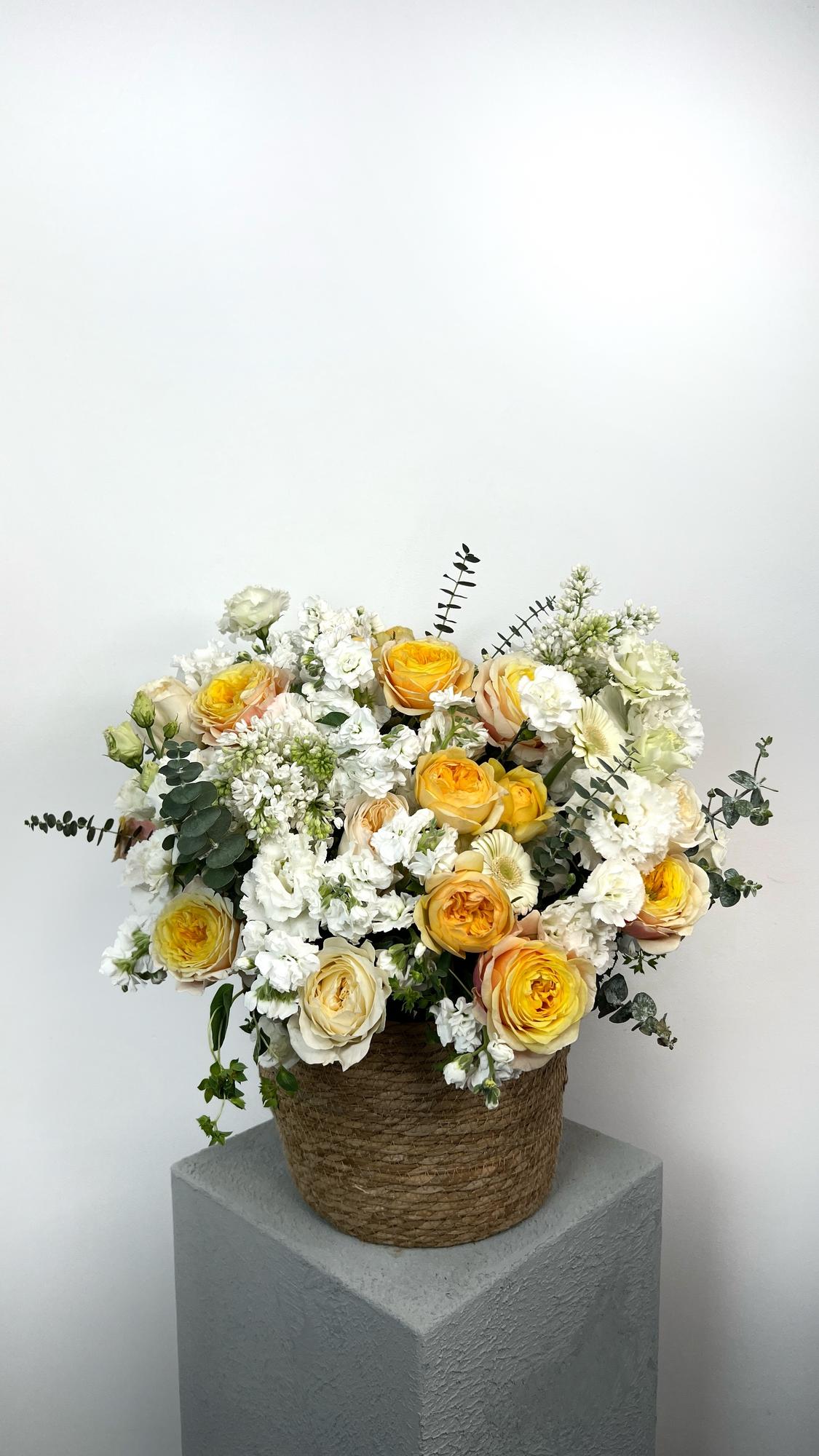 Привет семье