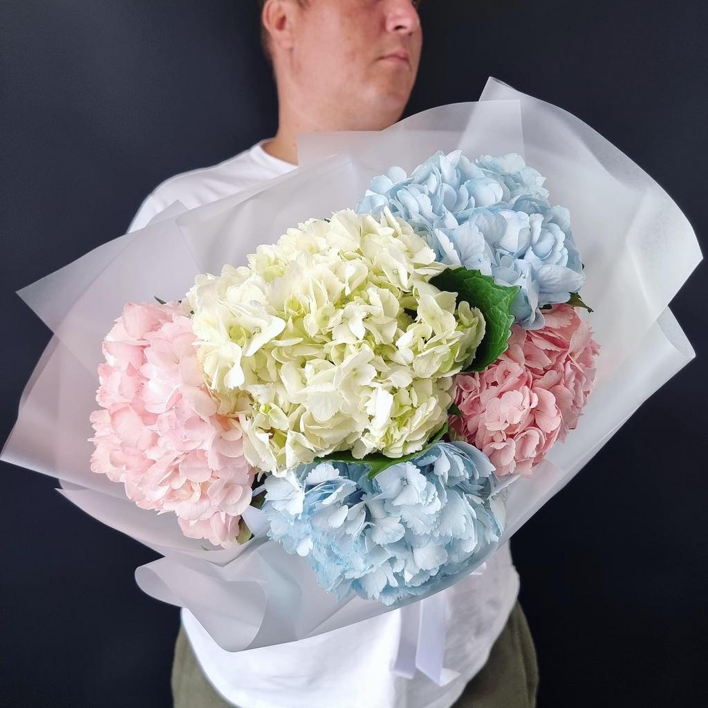 гортензия микс