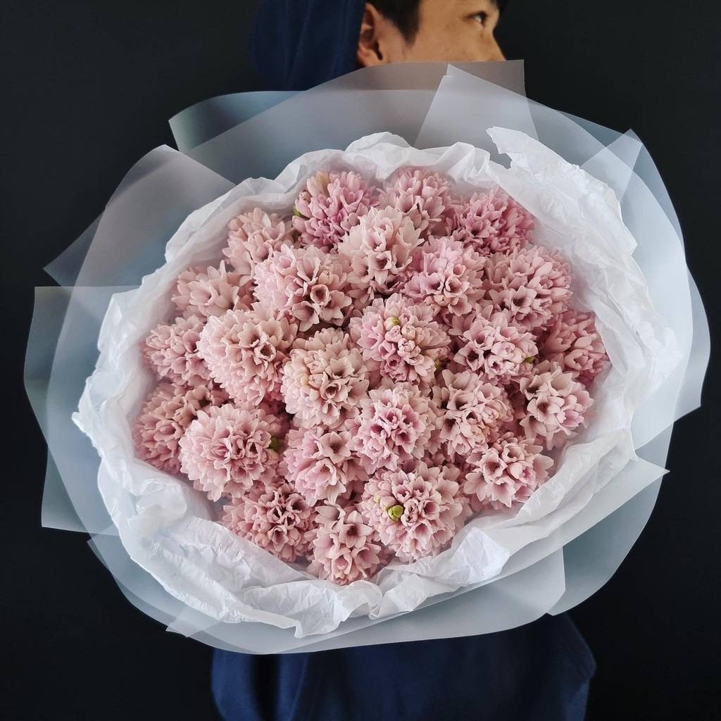 розовые гиацинты