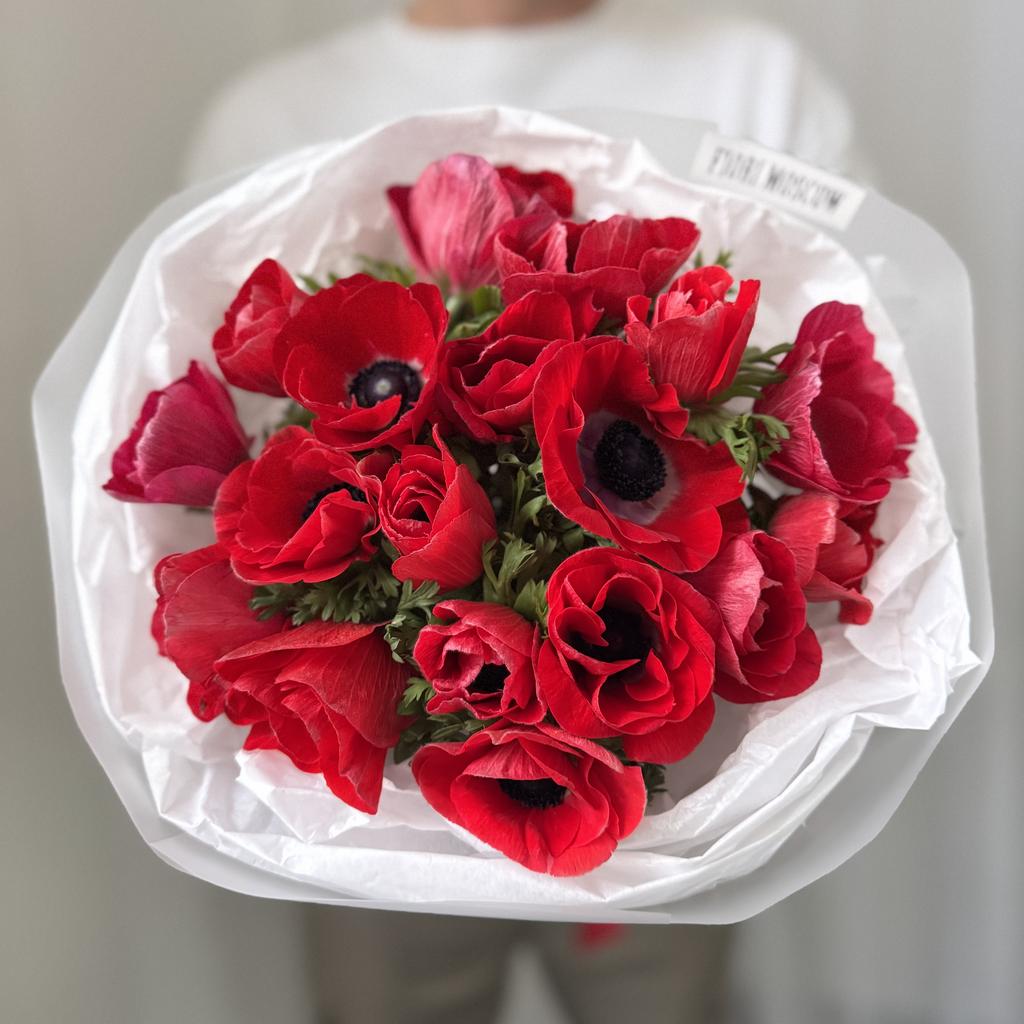 анемоны красные