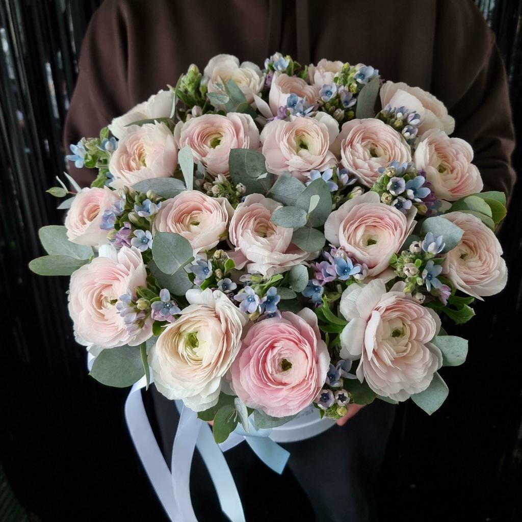 BOX ранункулюсы & оксипеталумом