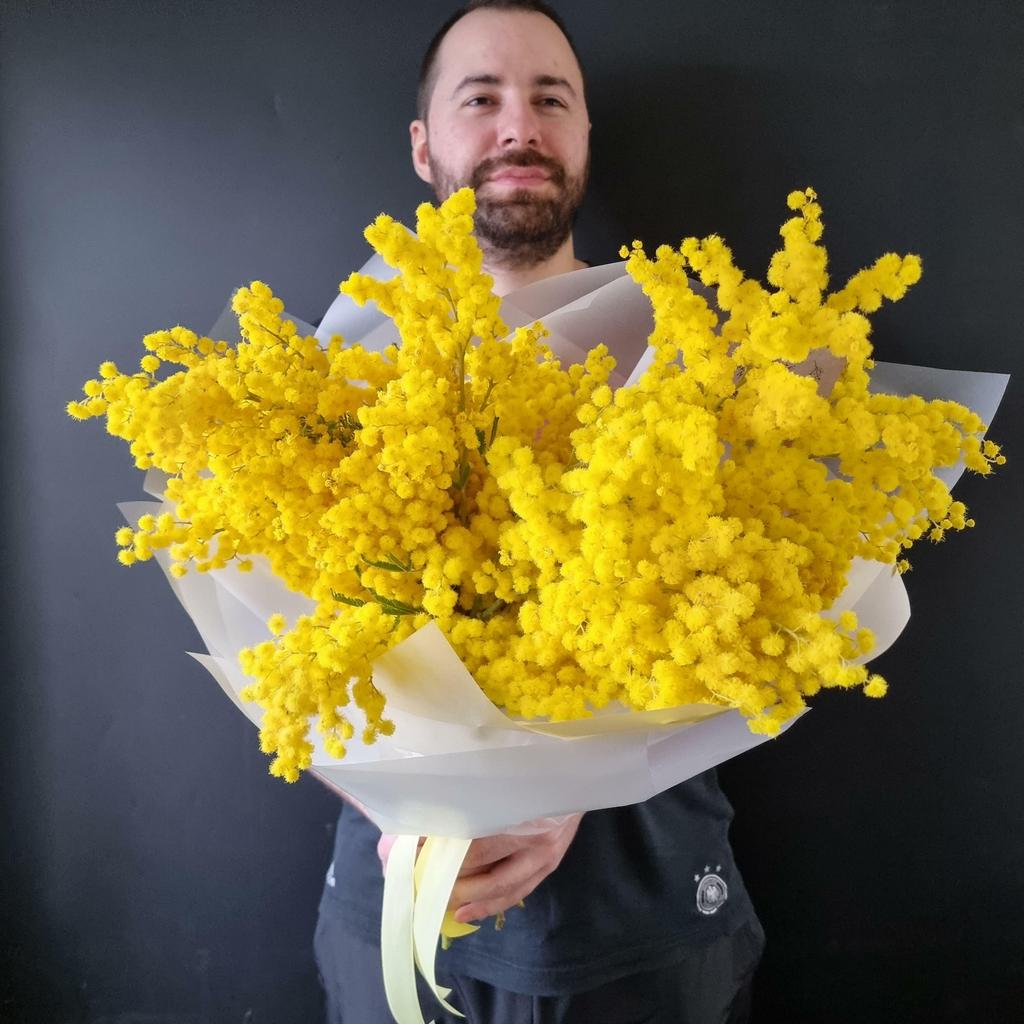 Мимоза моно