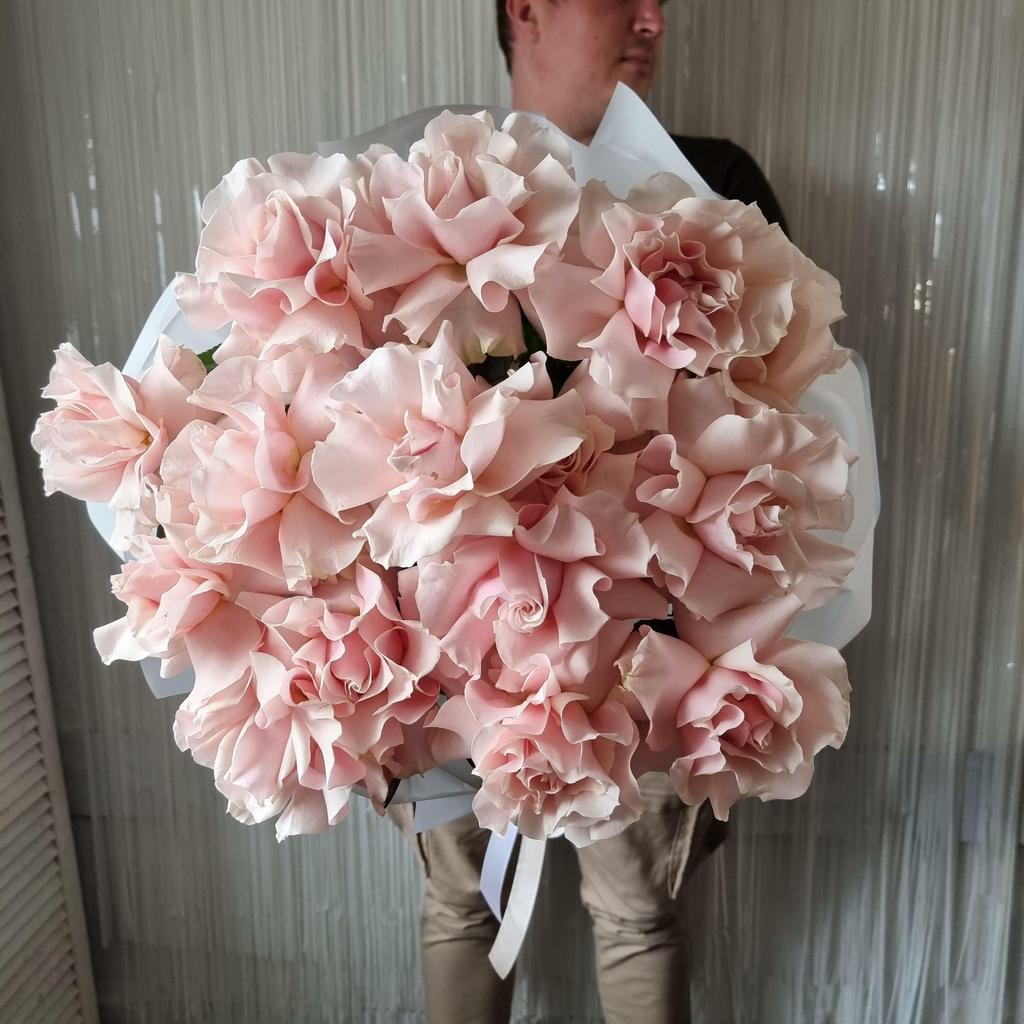 РОЗА ПИНК МОНДИАЛЬ