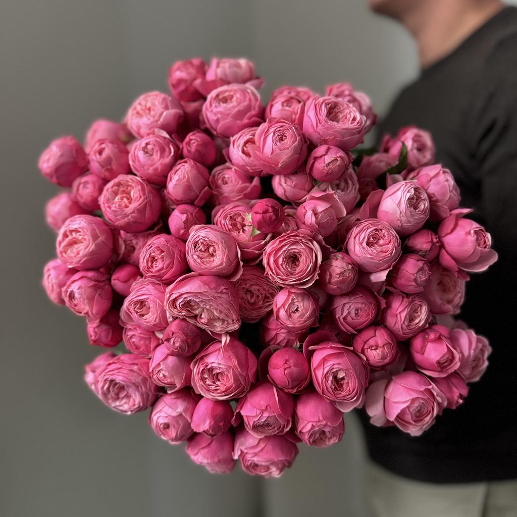 роза кустовая сильва пинк