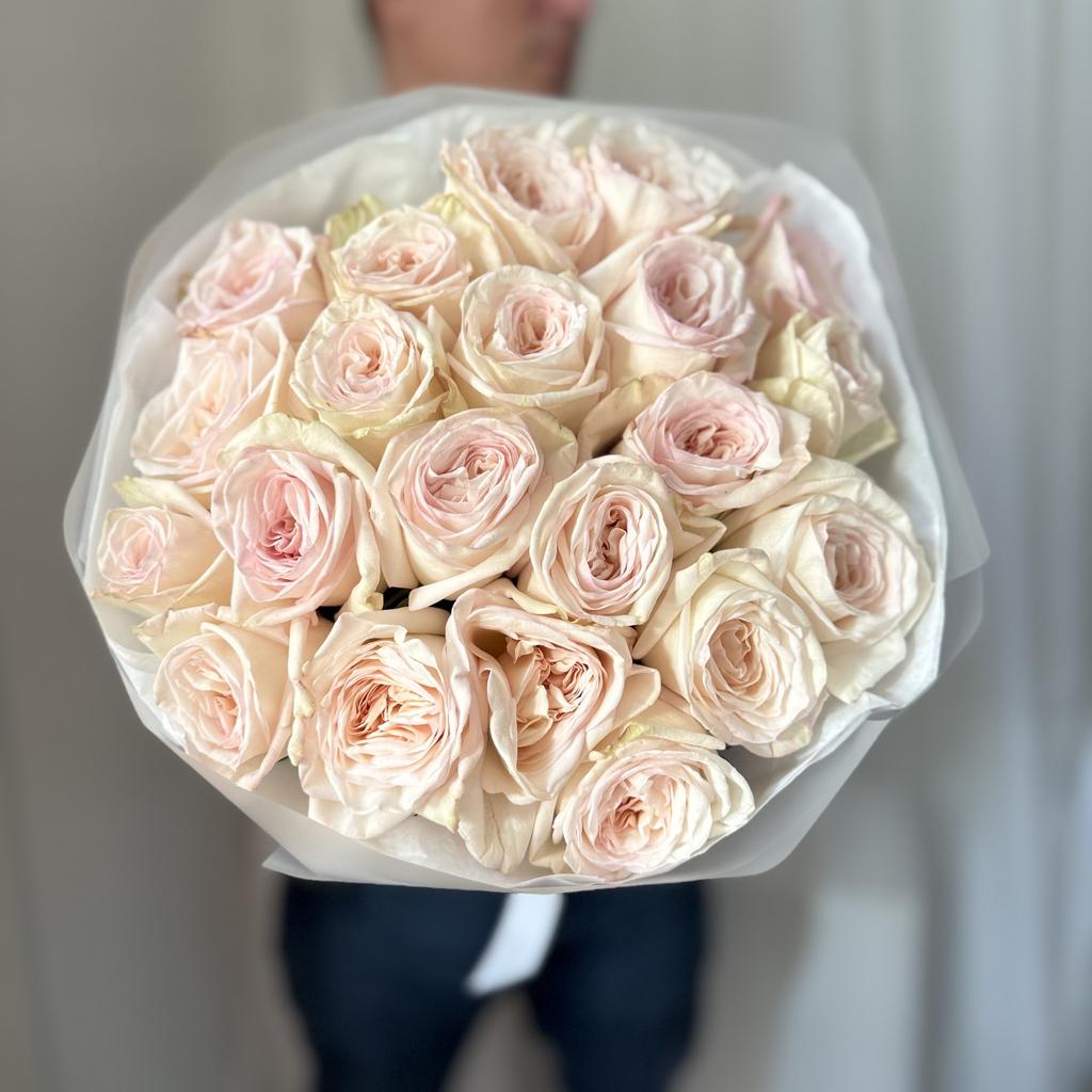 роза моно вайт охара