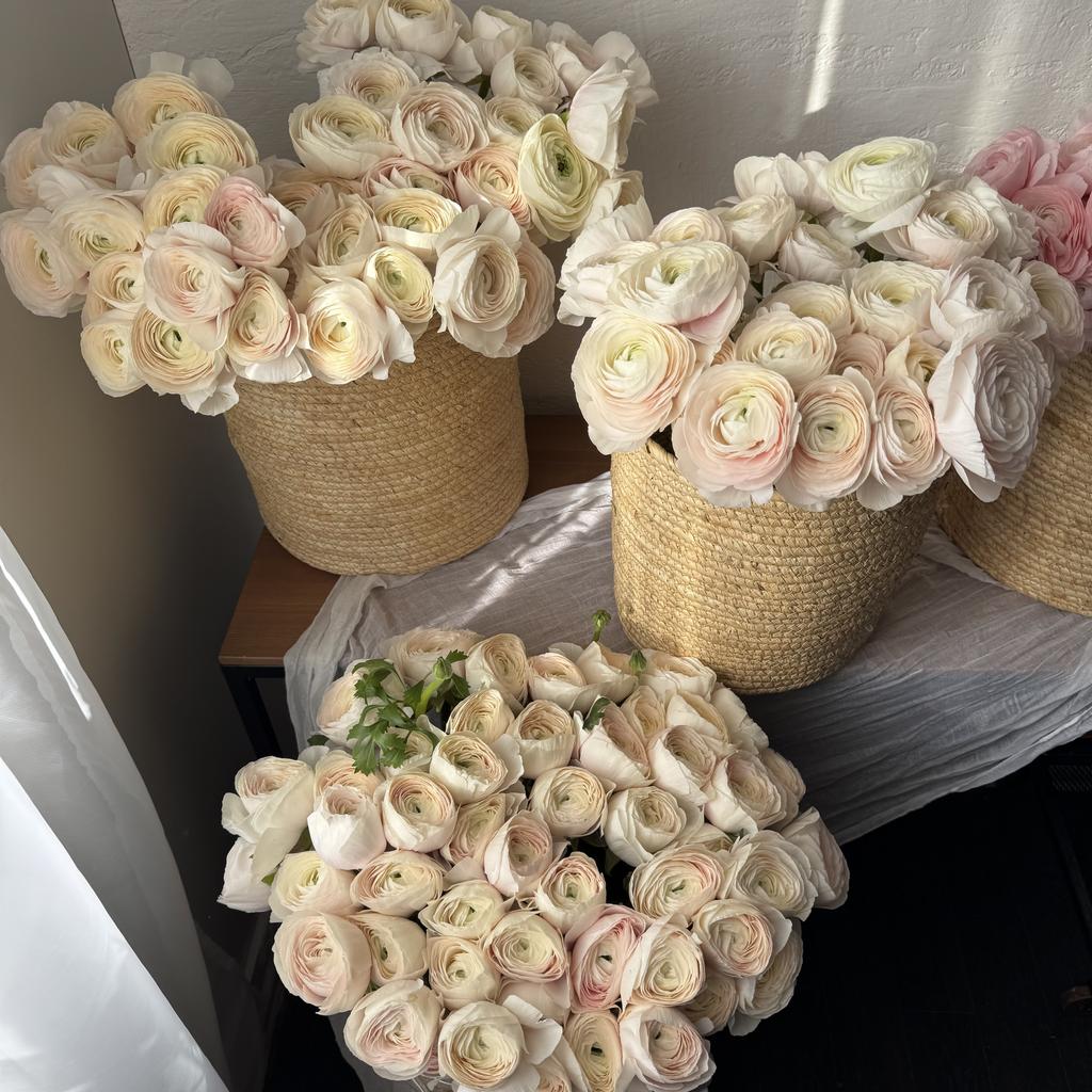 корзина ранугкулюсов