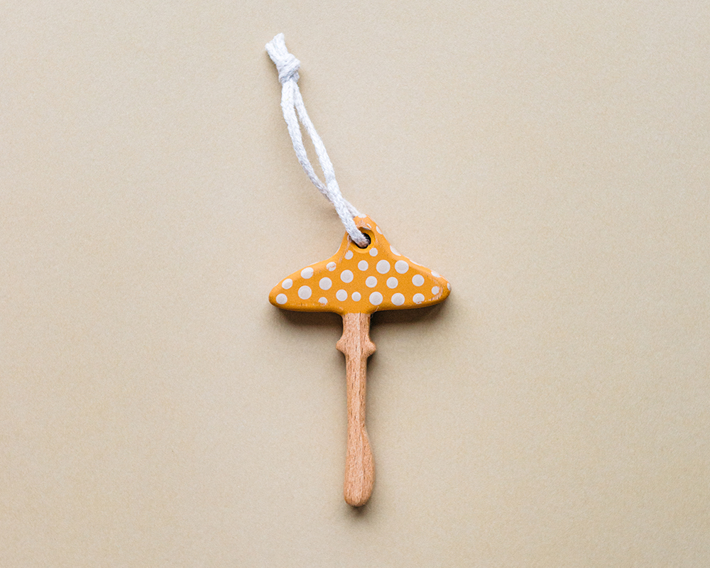 Мухомор тонкий