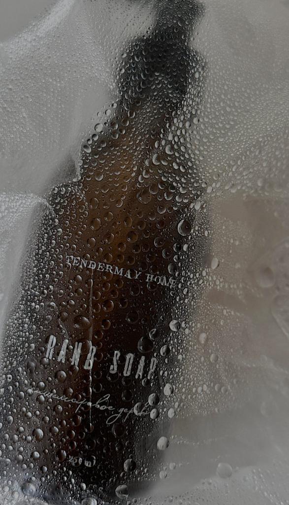 Жидкое мыло ДУБОВЫЙ МОХ И ФРУКТЫ 250мл