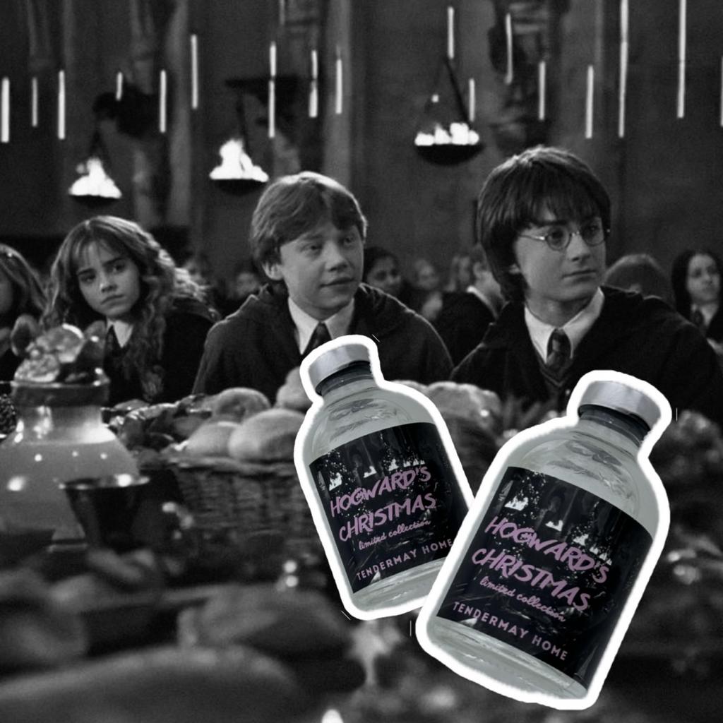 Диффузор HOGWARDS 50мл