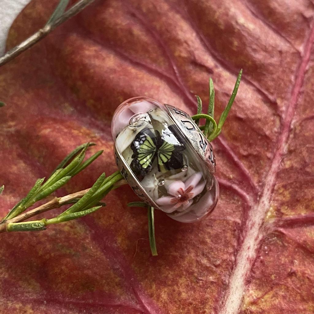 AQUARIUM 56 cherry blossom green butterfly