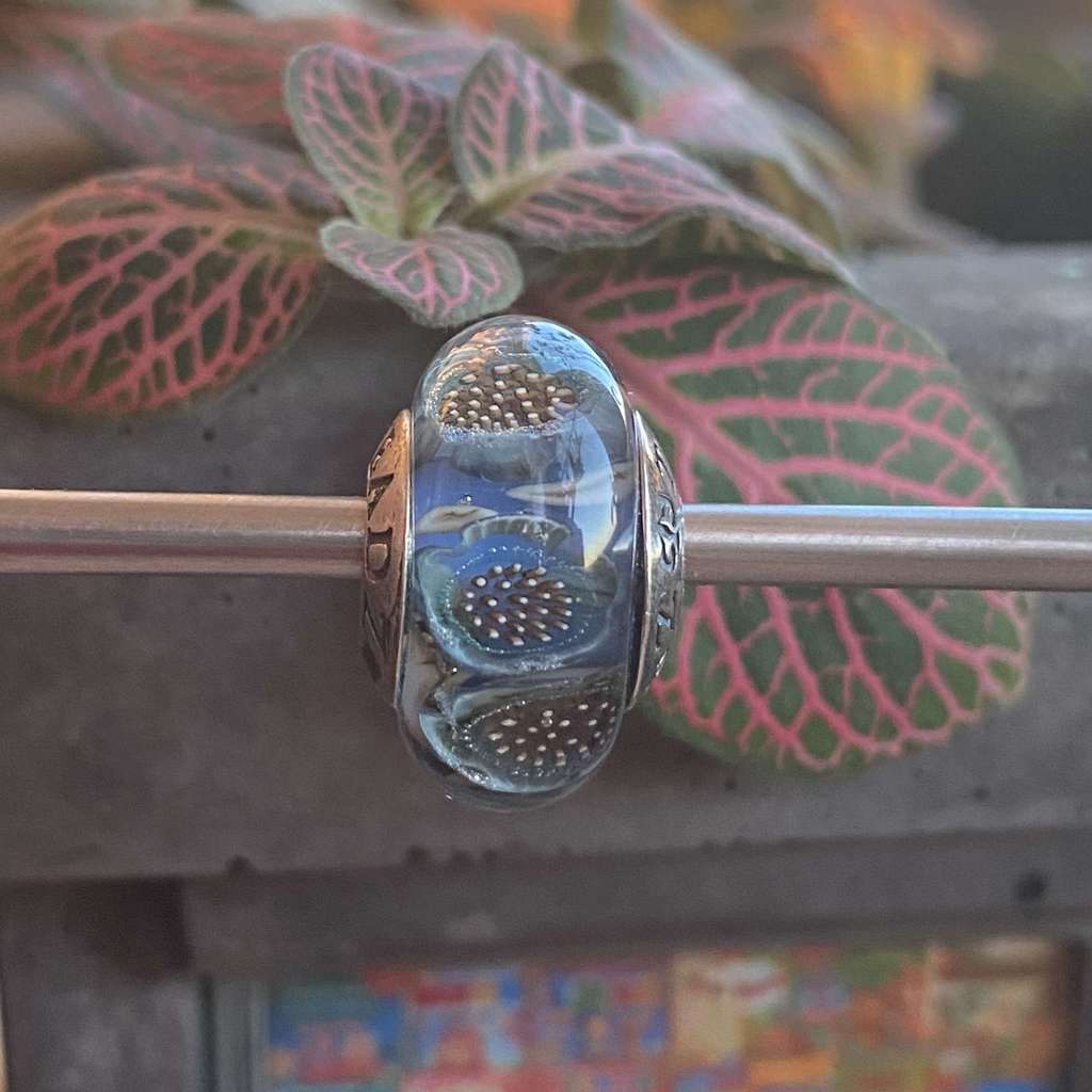 AQUARIUM 40 blue beauty on blue