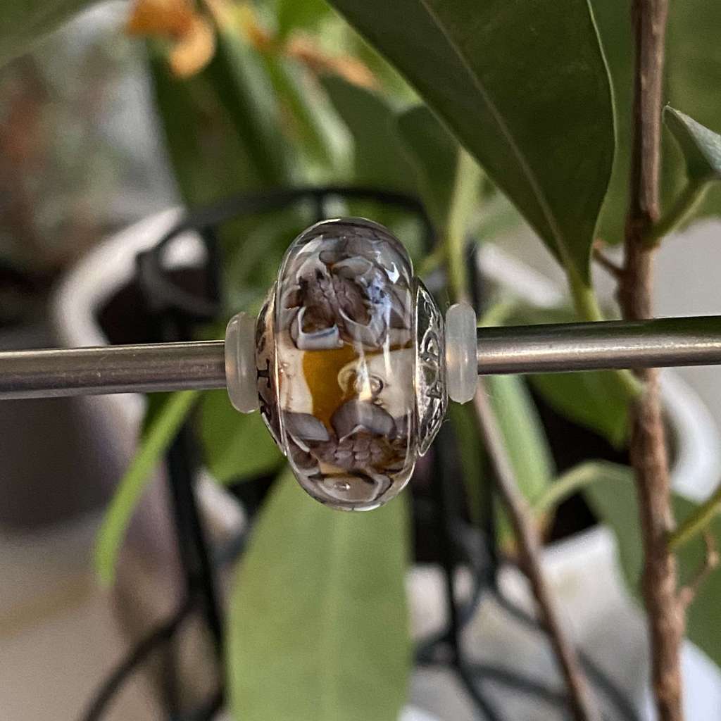 AQUARIUM  17 magic beauty on mango