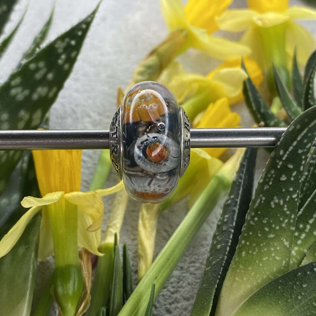 AQUARIUM  9 white and yellow daffodils mix