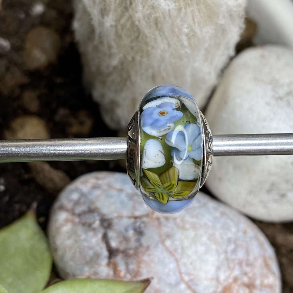 AQUARIUM  15 forget-me-not