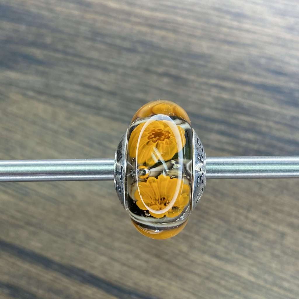 Sat AQUARIUM 15 orange flowers